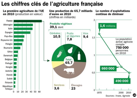 7744239502_les-chiffres-de-l-agriculture-francaise